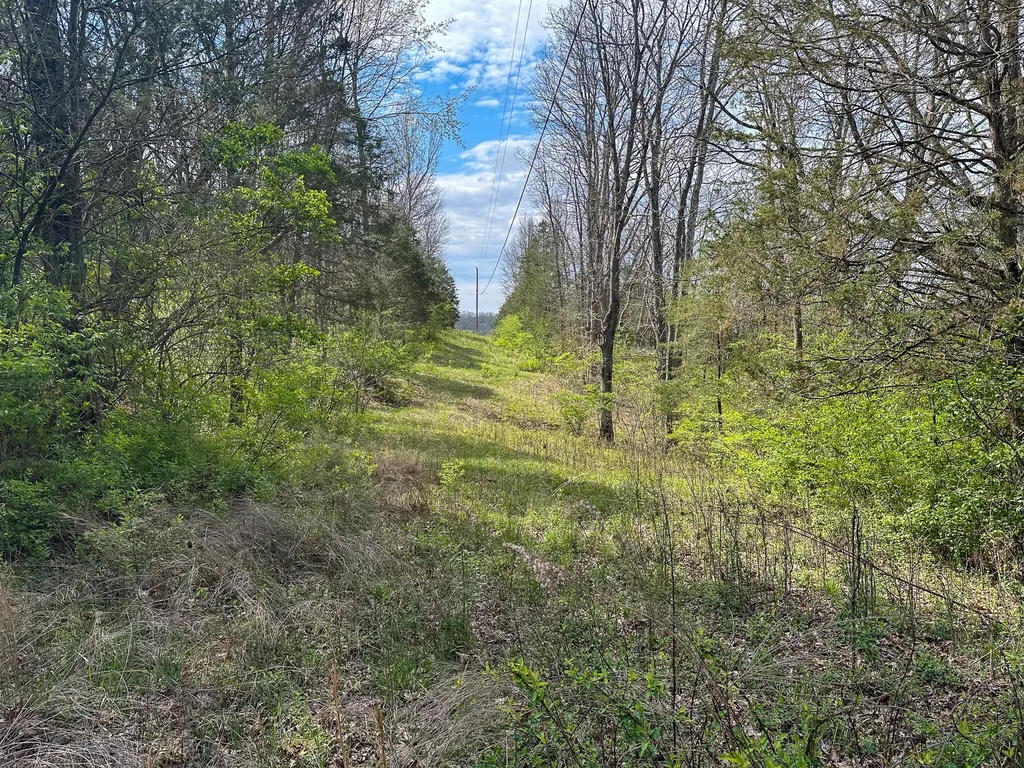 215 Big Twin Creek Road Worthville KY 41098