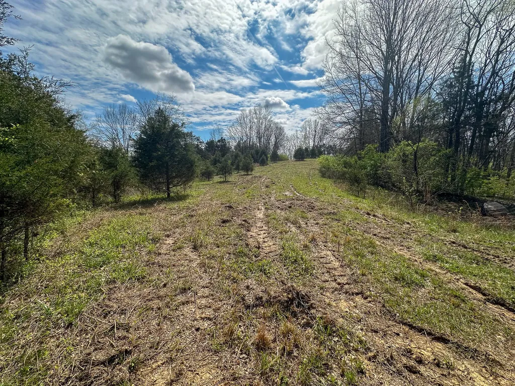 215 Big Twin Creek Road Worthville KY 41098