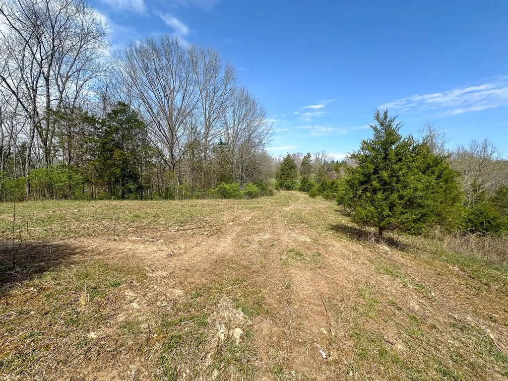 215 Big Twin Creek Road Worthville KY 41098