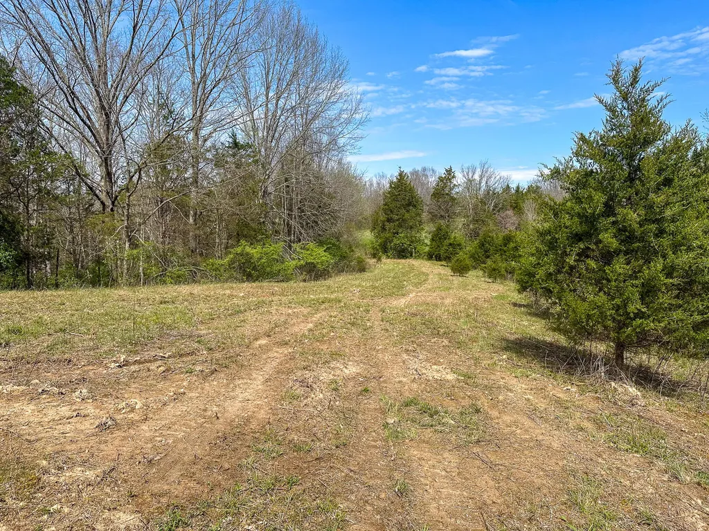 215 Big Twin Creek Road Worthville KY 41098