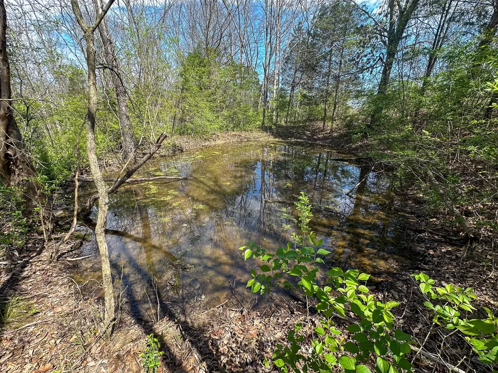 215 Big Twin Creek Road Worthville KY 41098