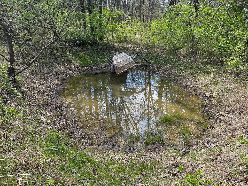 215 Big Twin Creek Road Worthville KY 41098