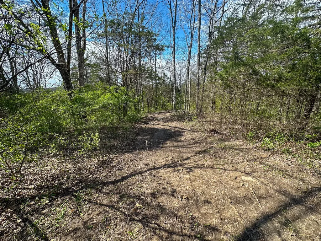 215 Big Twin Creek Road Worthville KY 41098