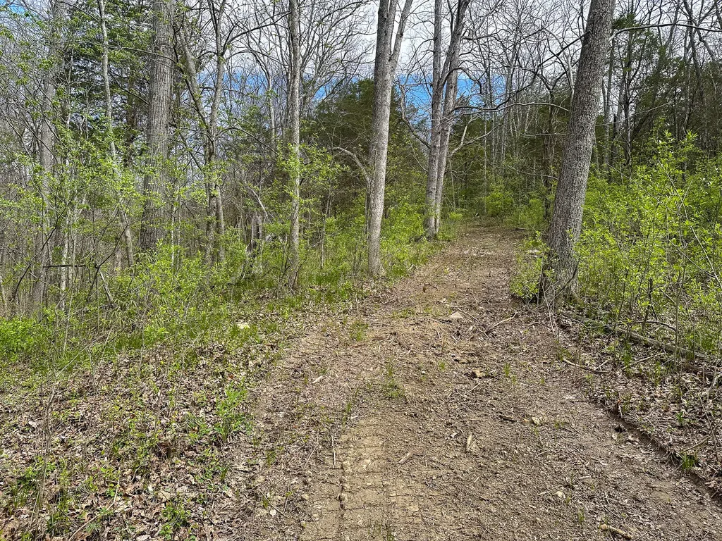 215 Big Twin Creek Road Worthville KY 41098