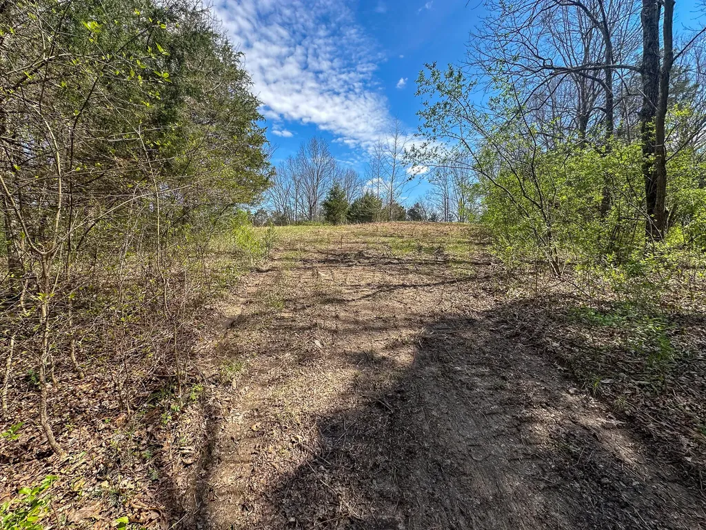 215 Big Twin Creek Road Worthville KY 41098