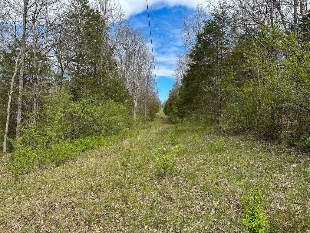 215 Big Twin Creek Road Worthville KY 41098