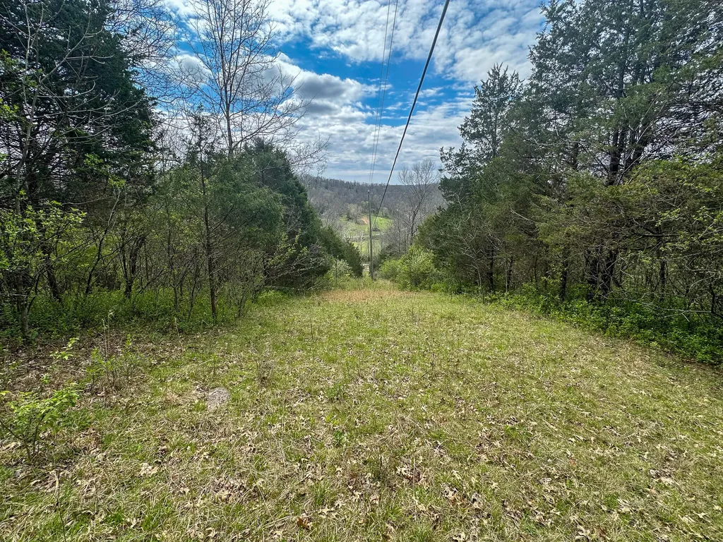 215 Big Twin Creek Road Worthville KY 41098