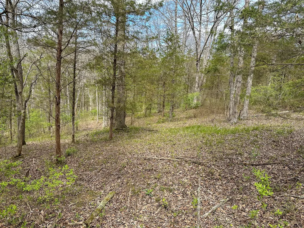 215 Big Twin Creek Road Worthville KY 41098