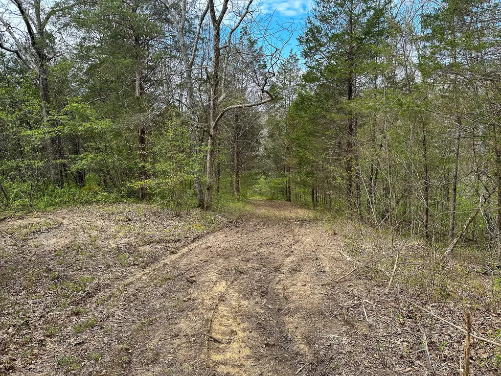 215 Big Twin Creek Road Worthville KY 41098
