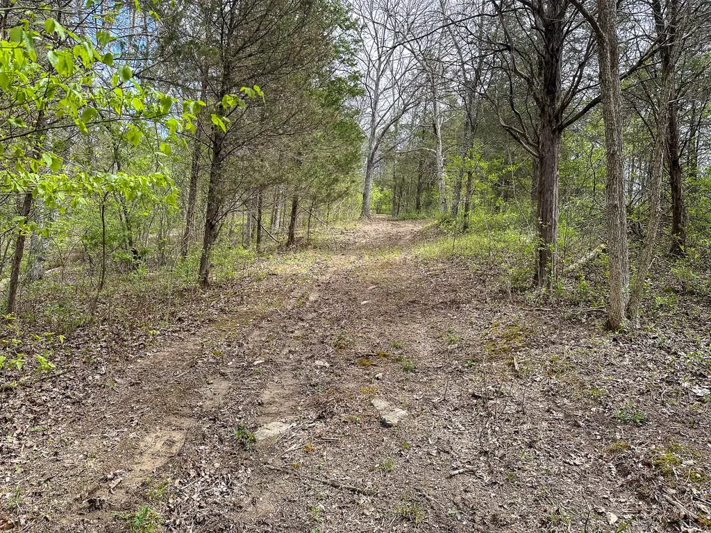 215 Big Twin Creek Road Worthville KY 41098