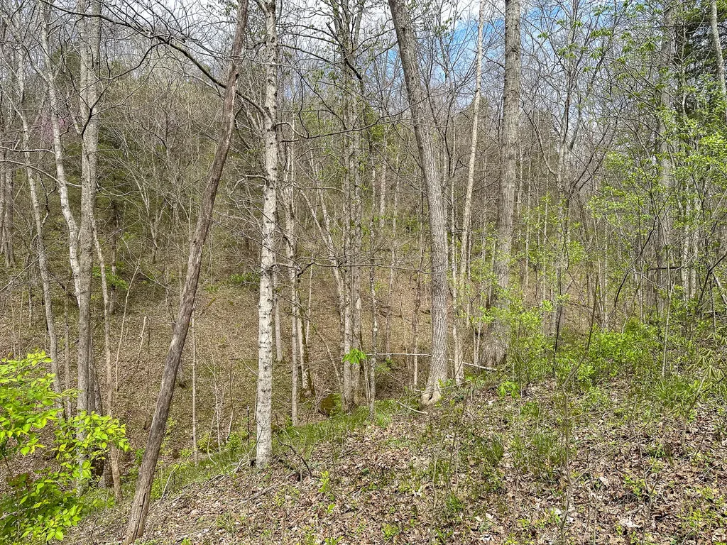215 Big Twin Creek Road Worthville KY 41098