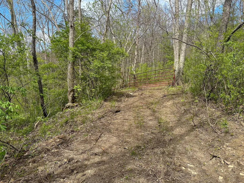 215 Big Twin Creek Road Worthville KY 41098