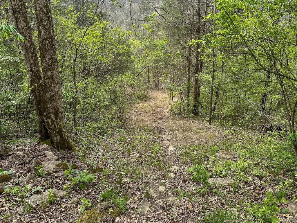 215 Big Twin Creek Road Worthville KY 41098