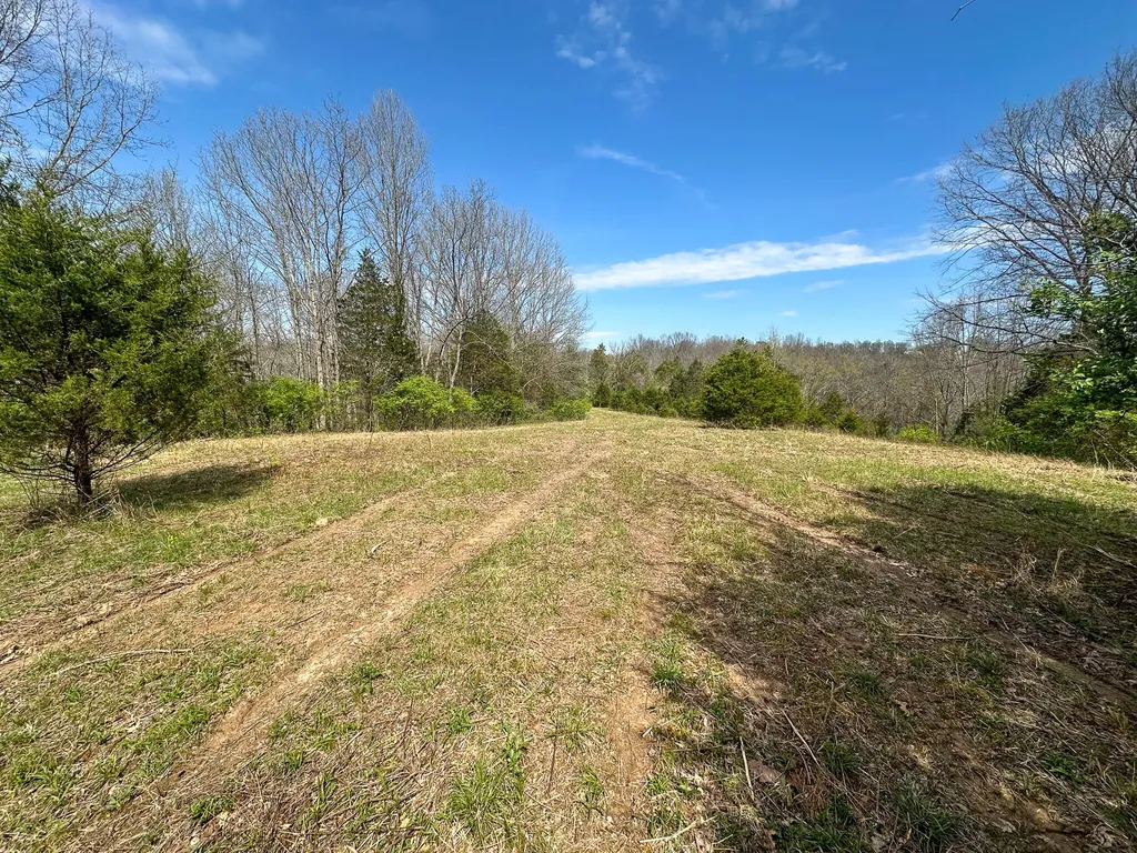 215 Big Twin Creek Road Worthville KY 41098