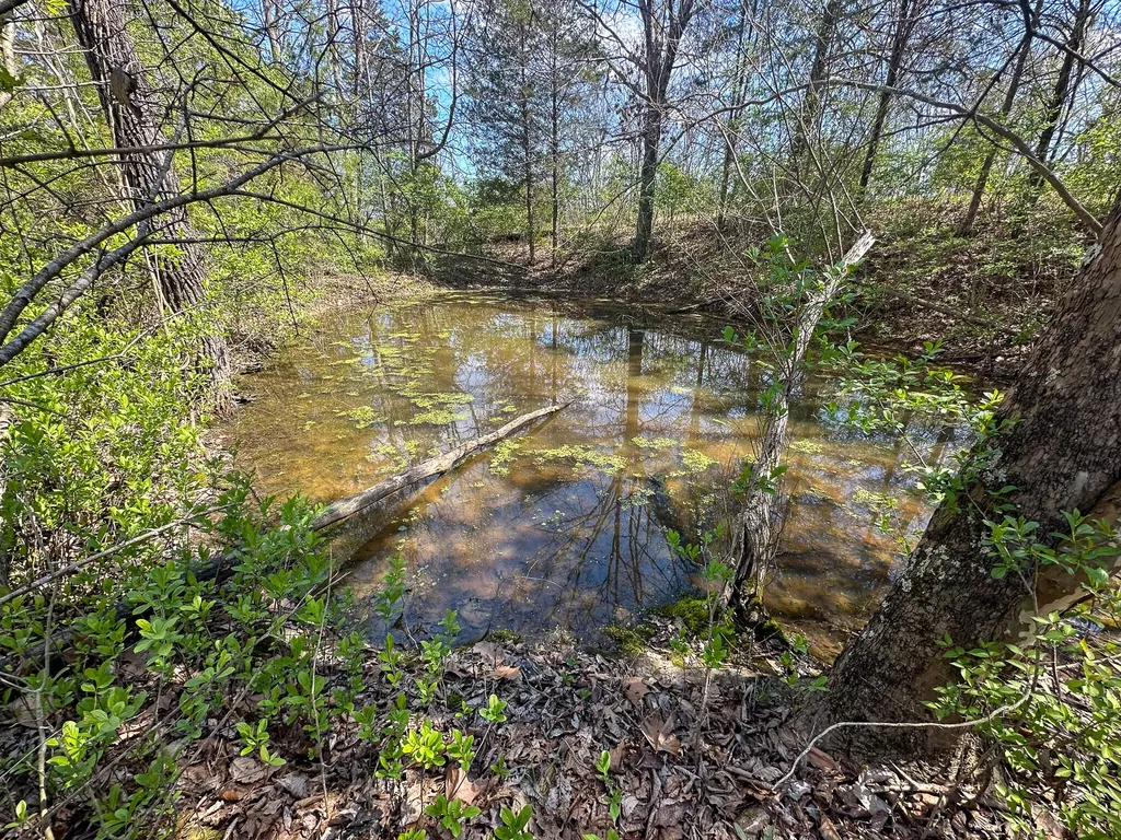 215 Big Twin Creek Road Worthville KY 41098
