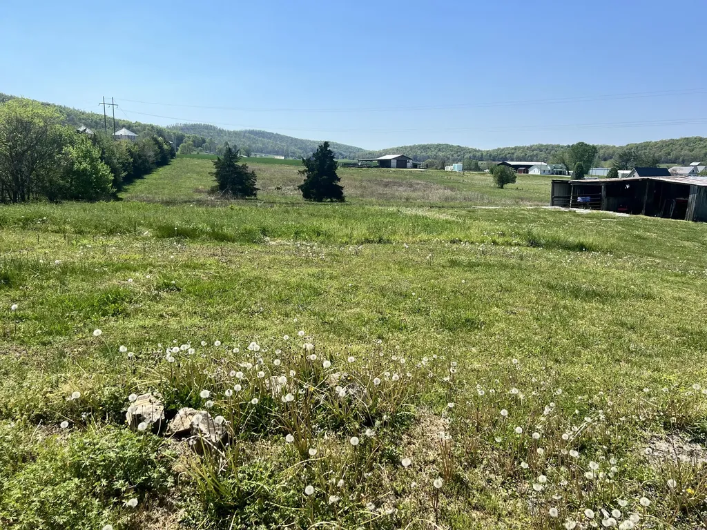 222 Wright Hollow Road Monticello KY 42633