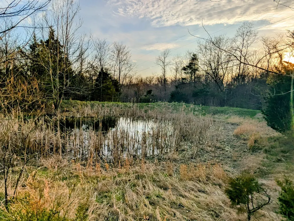 585 Friendship Road Sadieville KY 40370