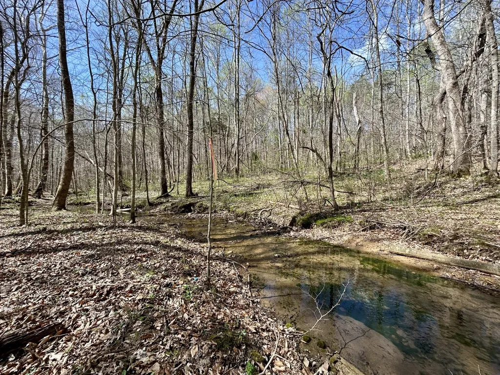 808 Goldenberg Lane Somerset KY 42503