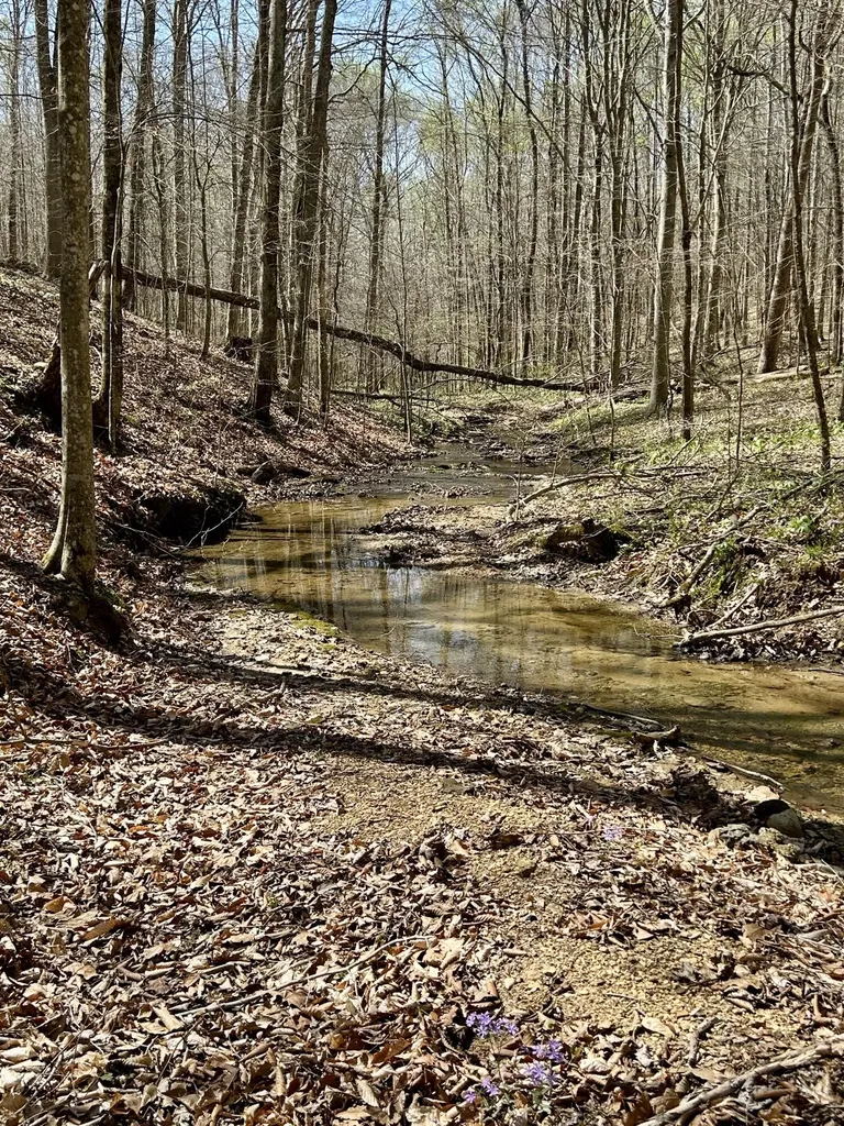808 Goldenberg Lane Somerset KY 42503