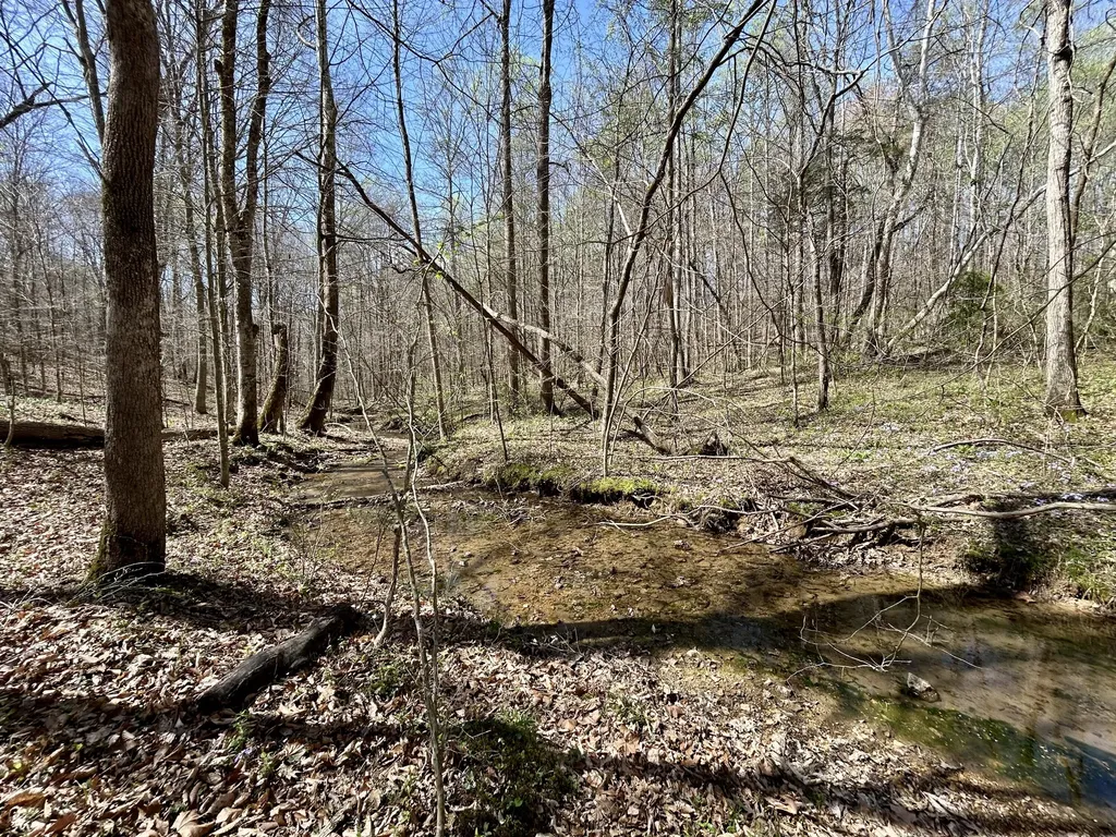 808 Goldenberg Lane Somerset KY 42503