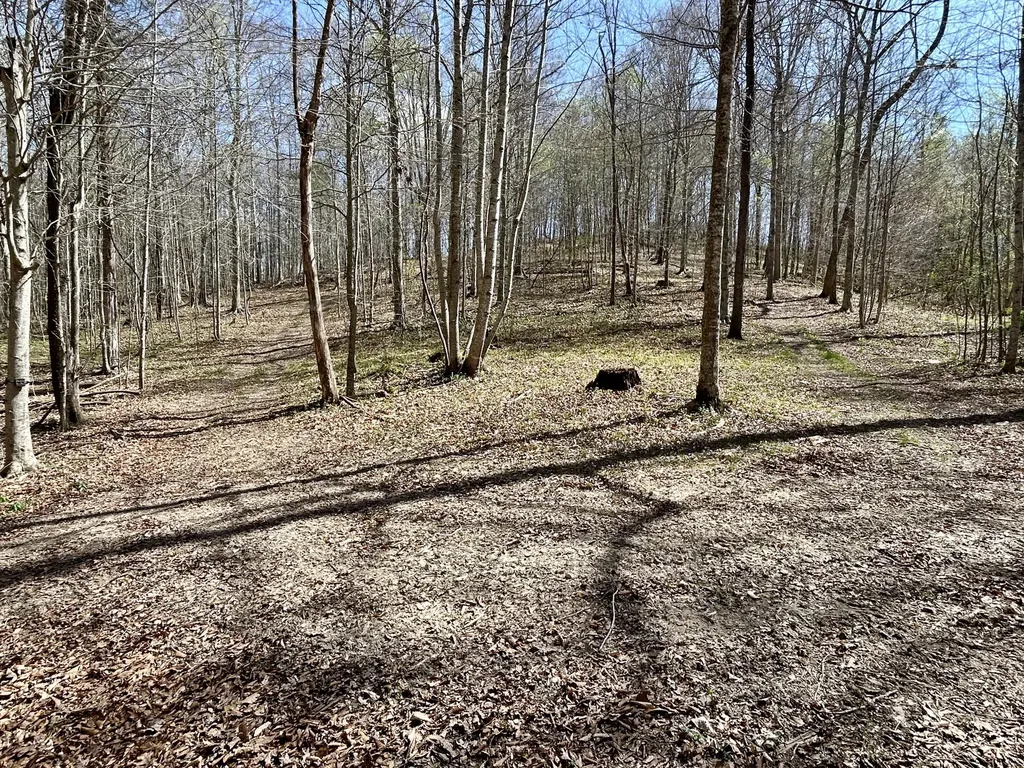 808 Goldenberg Lane Somerset KY 42503