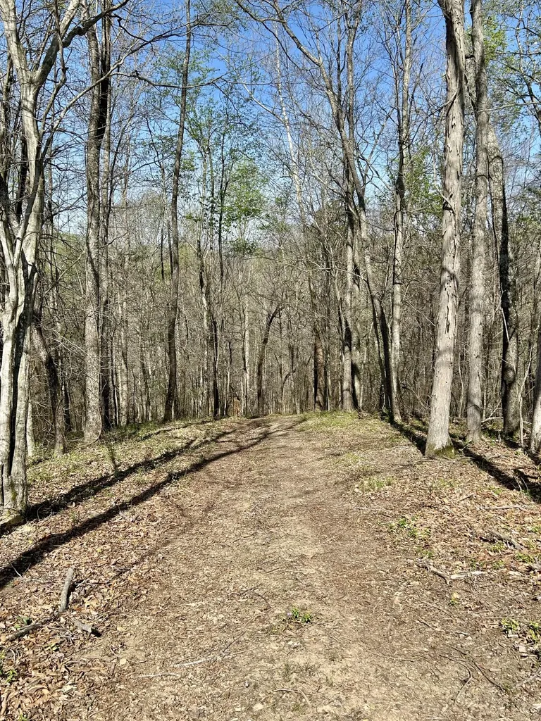 808 Goldenberg Lane Somerset KY 42503