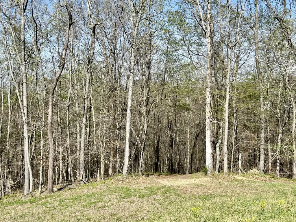 808 Goldenberg Lane Somerset KY 42503