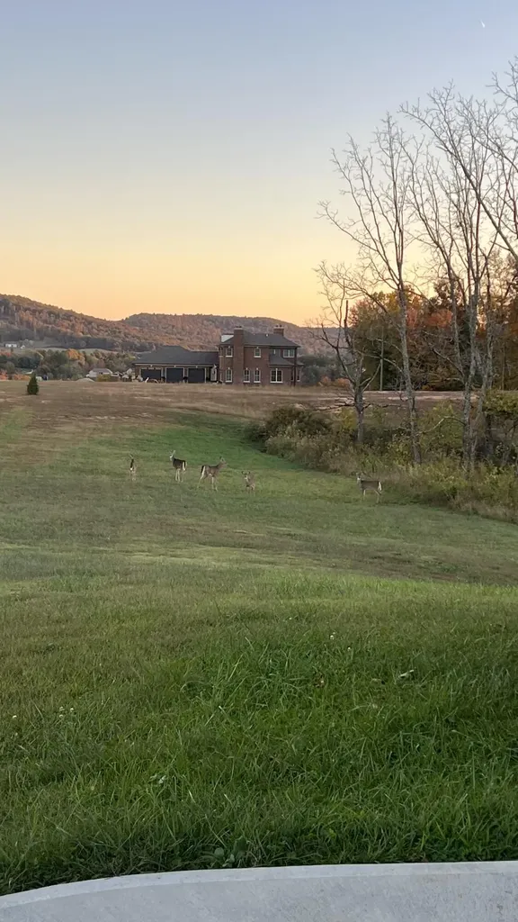 808 Goldenberg Lane Somerset KY 42503
