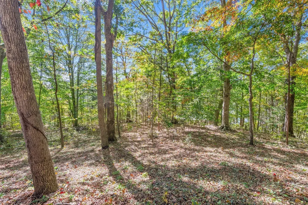 429 Meece Avenue Nancy KY 42544