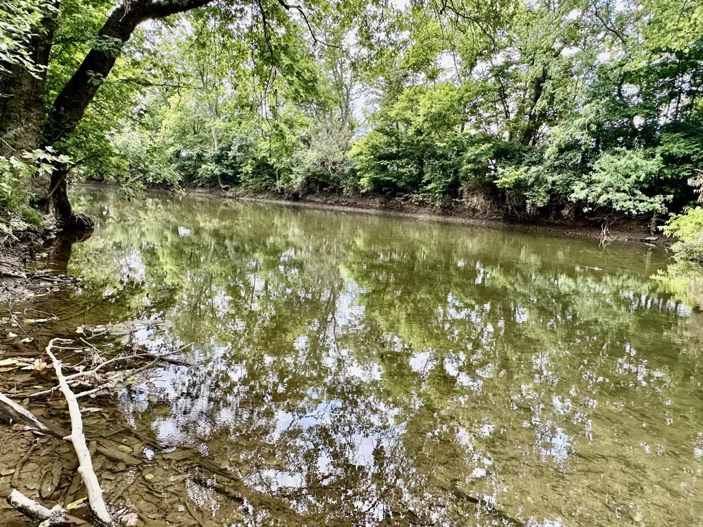 133 Treetop Court Georgetown KY 40324