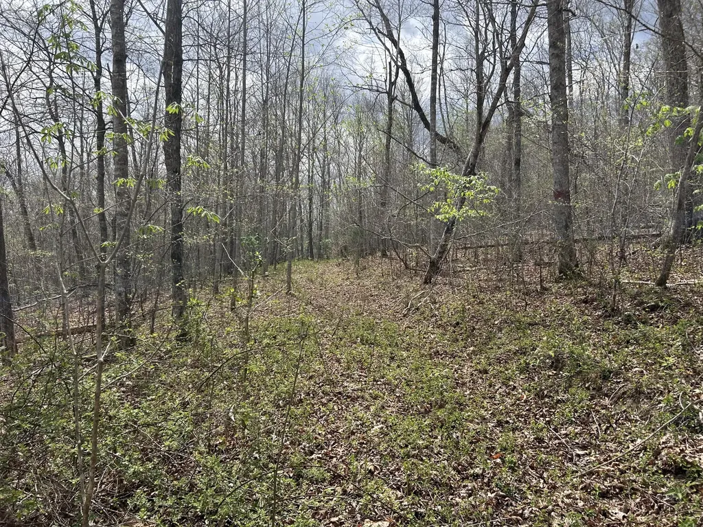 2000B Greenford Road Monticello KY 42633