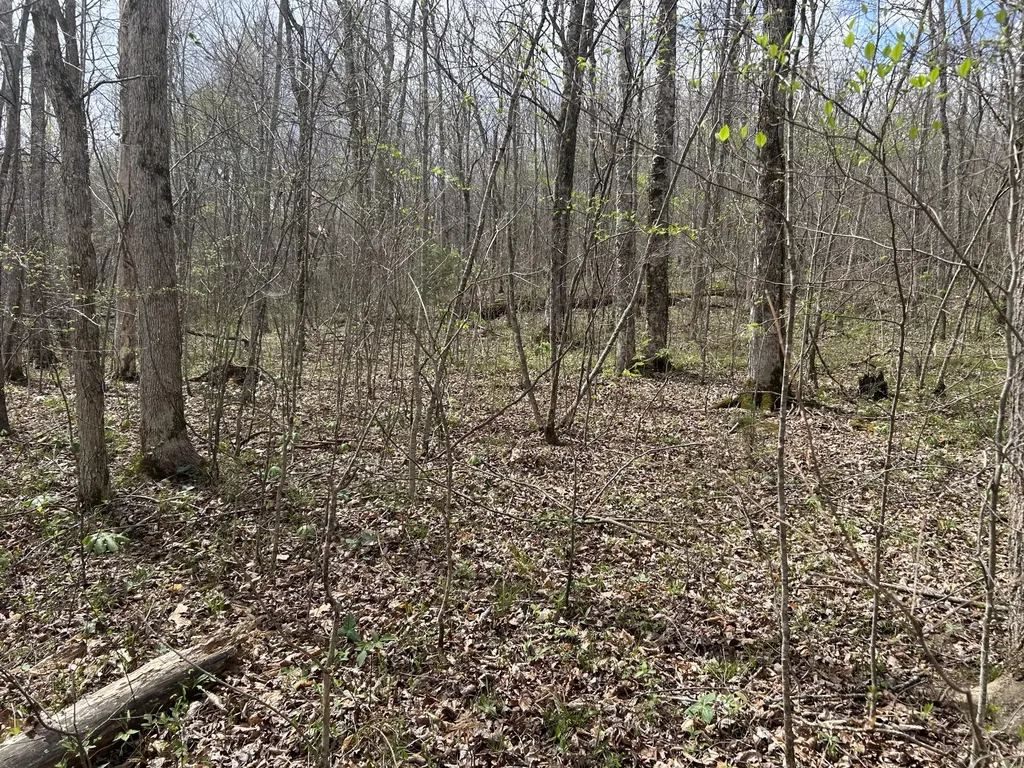 2000B Greenford Road Monticello KY 42633
