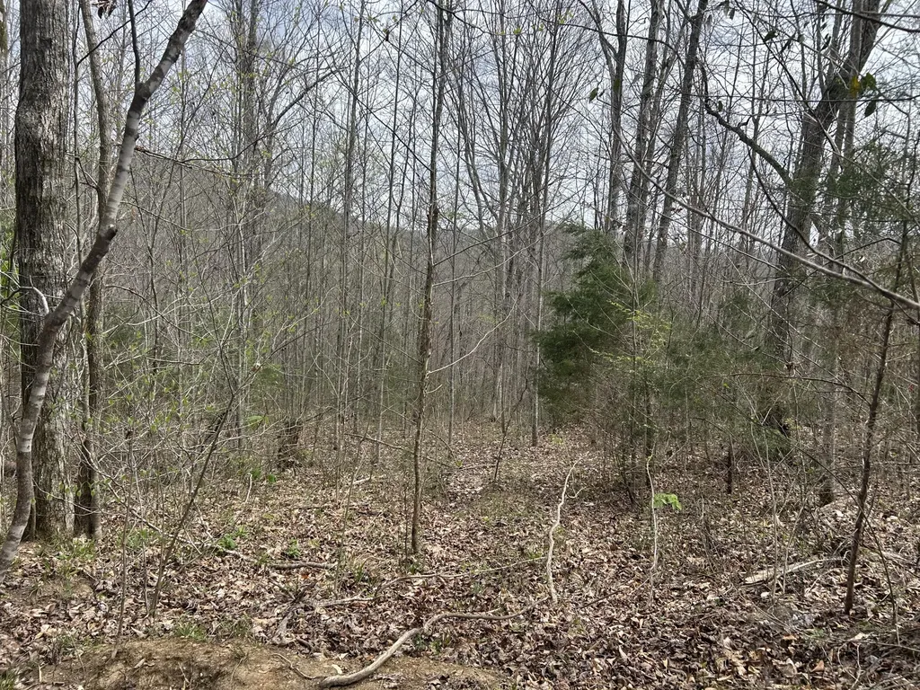 2000B Greenford Road Monticello KY 42633