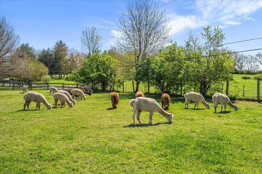 4129 Willow Lane Lexington KY 40516