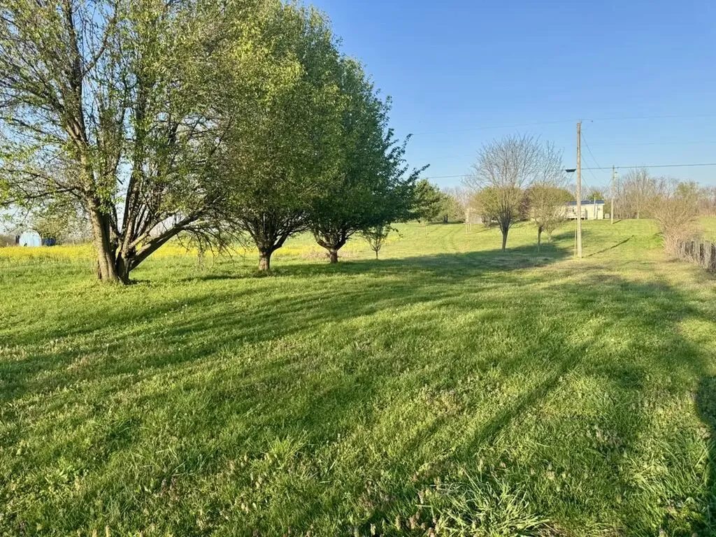 261 Owen Davis Drive Ewing KY 41039