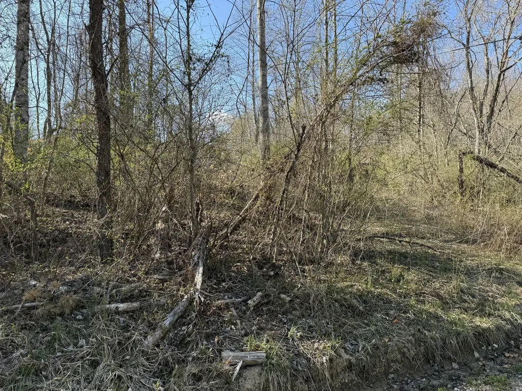 0 Tbd Trail Pines/edge Lane Frenchburg KY 40322