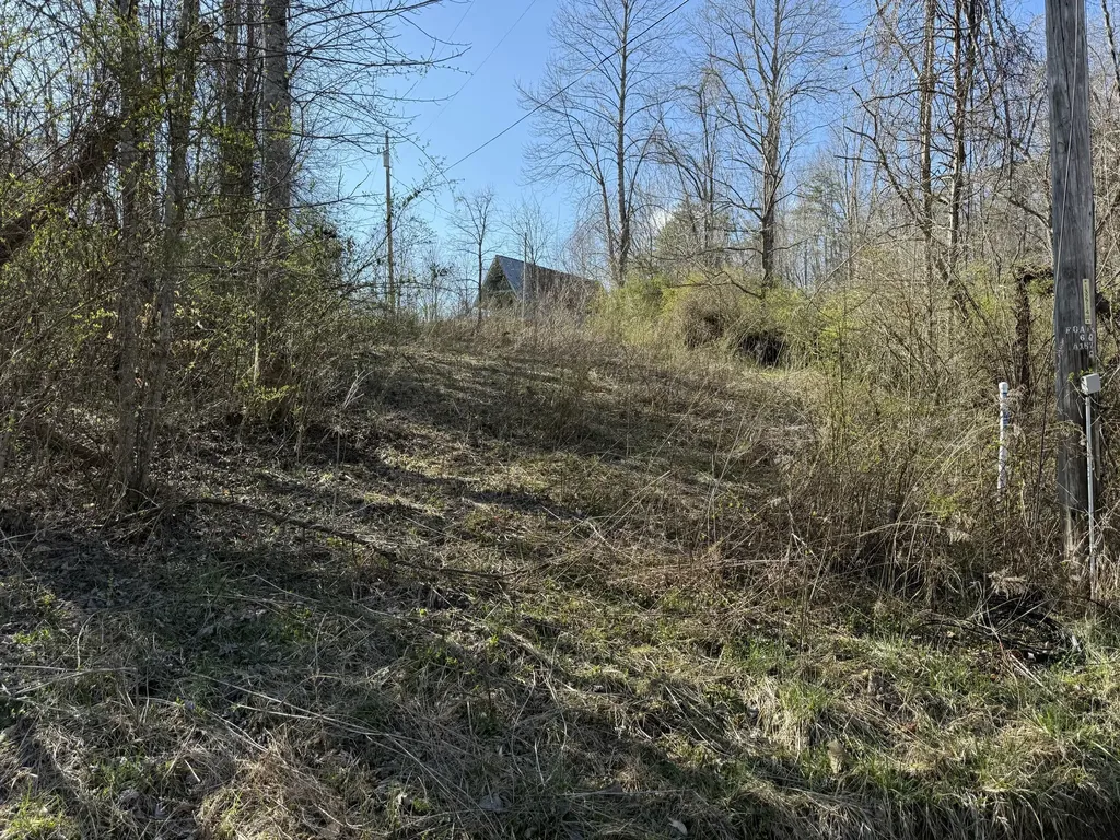 0 Tbd Trail Pines/edge Lane Frenchburg KY 40322