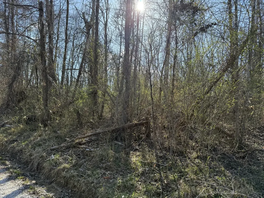 0 Tbd Trail Pines/edge Lane Frenchburg KY 40322