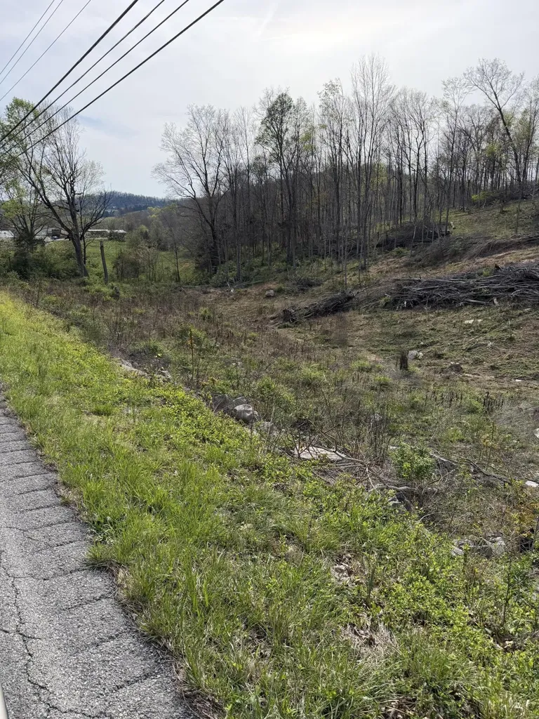 Track 4 White Rock Road Mt Vernon KY 40456