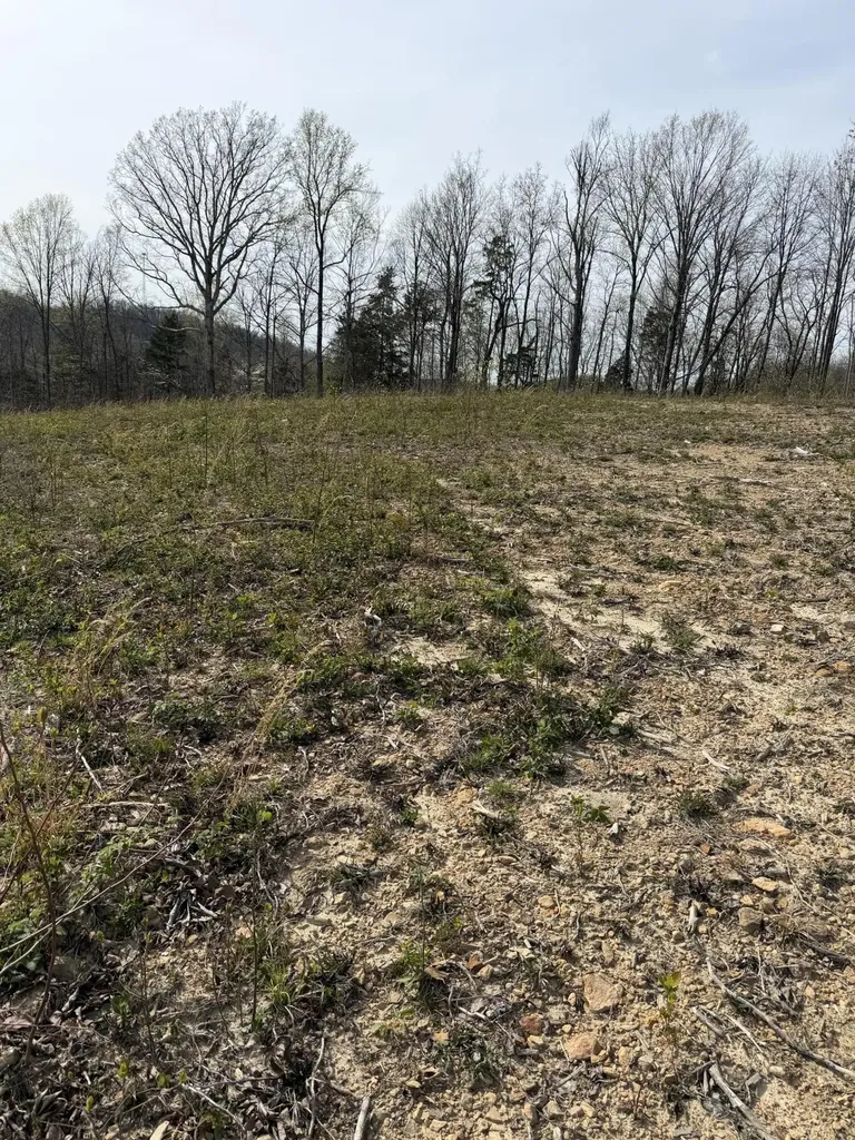 Track 4 White Rock Road Mt Vernon KY 40456