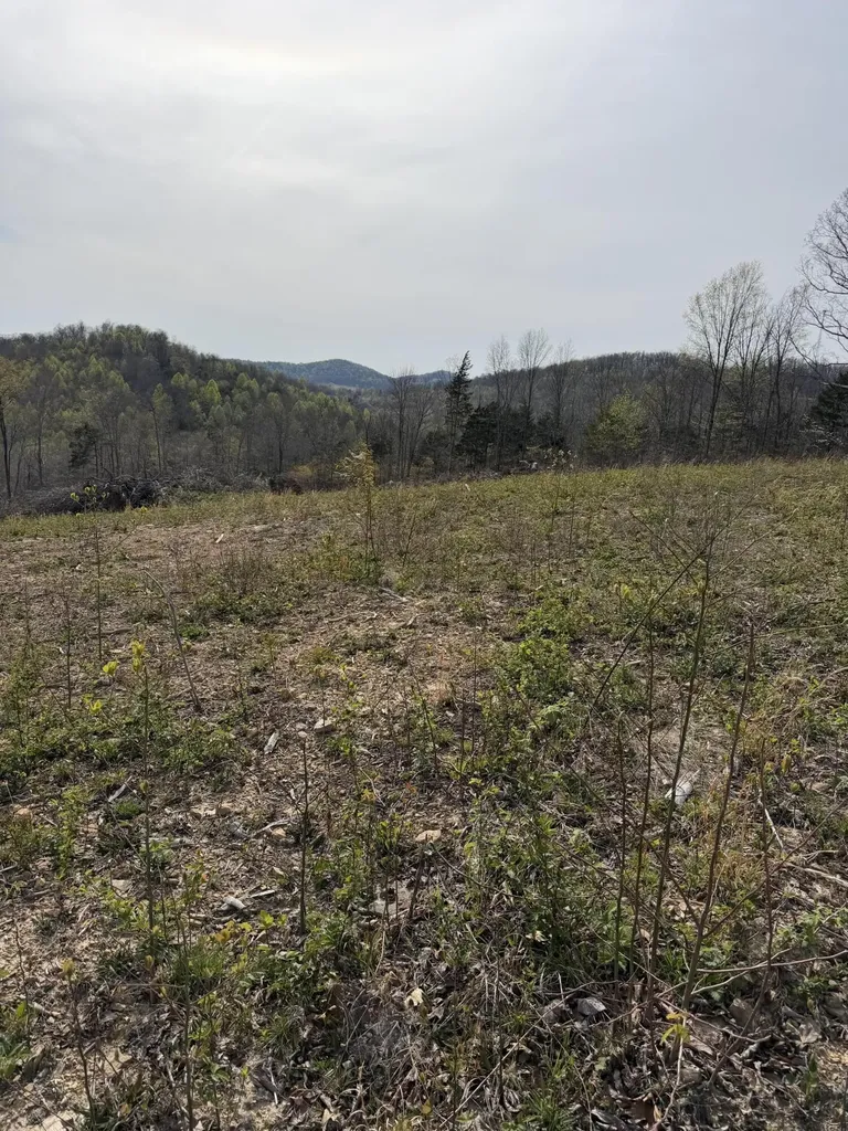 Track 4 White Rock Road Mt Vernon KY 40456