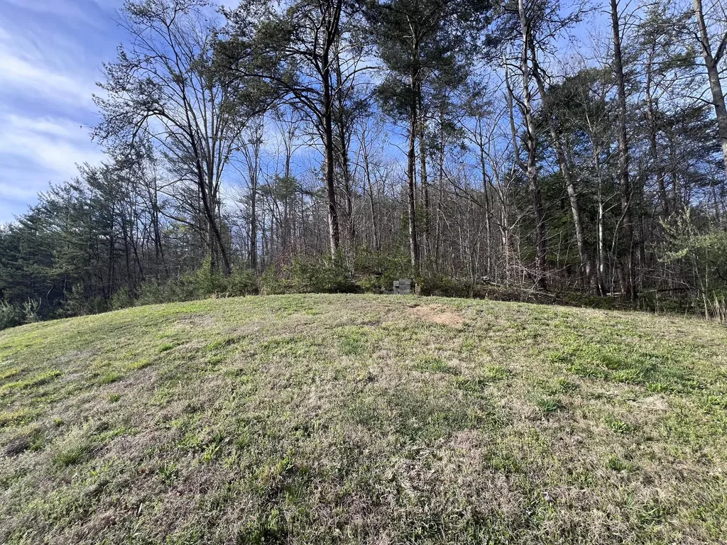 1604 Tiny Branch Frakes KY 40940