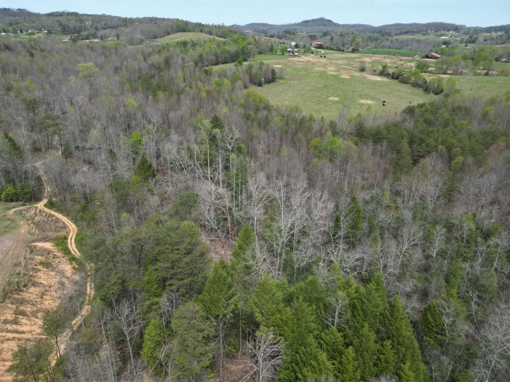 9999 Gibson Lane Williamsburg KY 40769