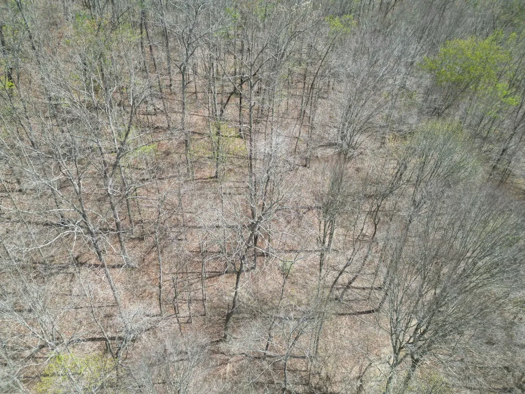 9999 Gibson Lane Williamsburg KY 40769