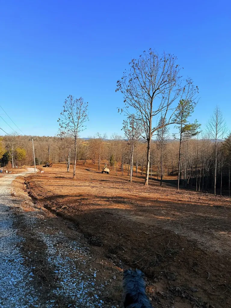 9999 Gibson Lane Williamsburg KY 40769