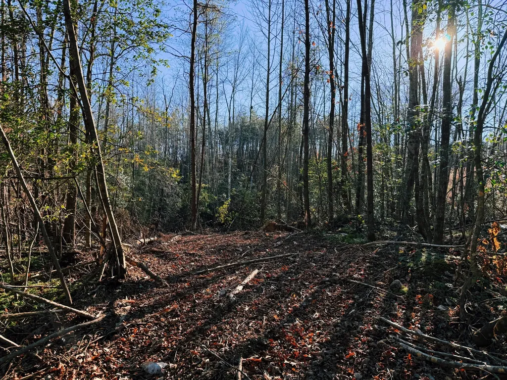 9999 Gibson Lane Williamsburg KY 40769
