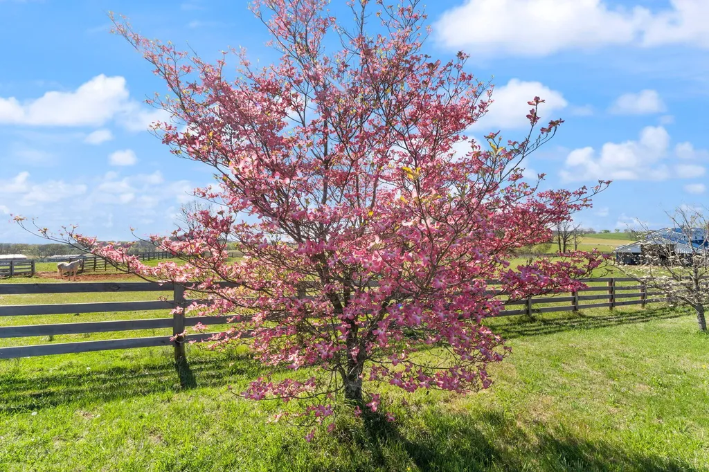 4211 Old Bull Road Eubank KY 42567