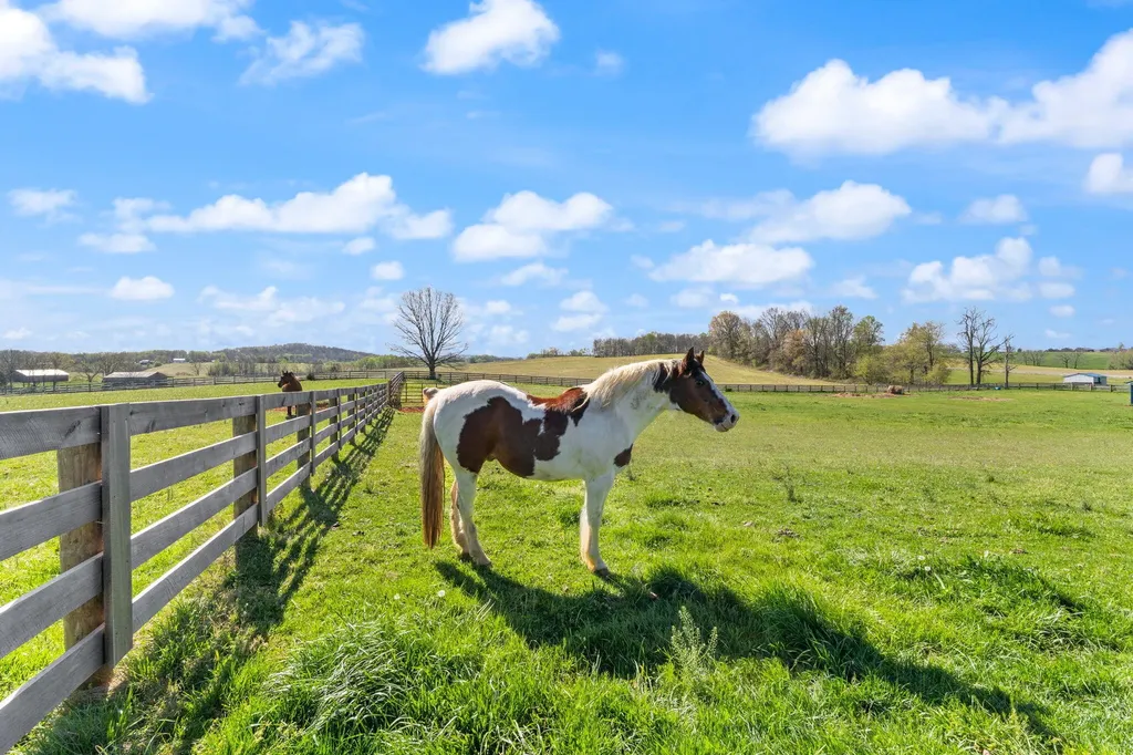 4211 Old Bull Road Eubank KY 42567
