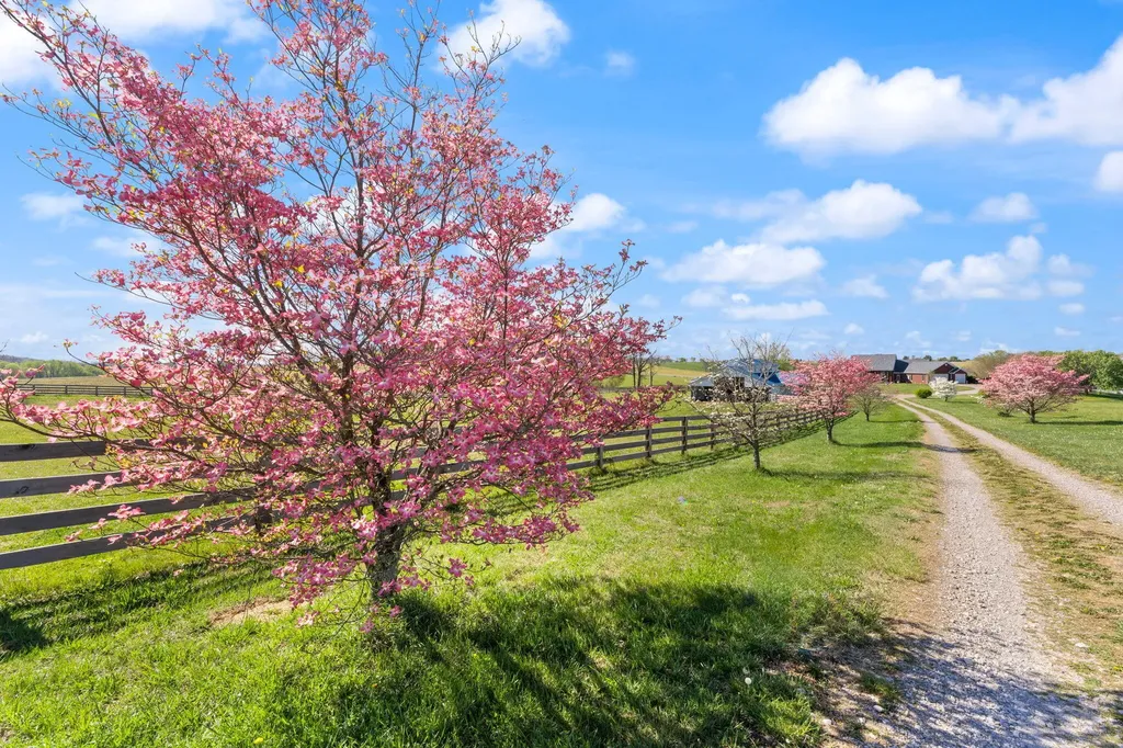 4211 Old Bull Road Eubank KY 42567