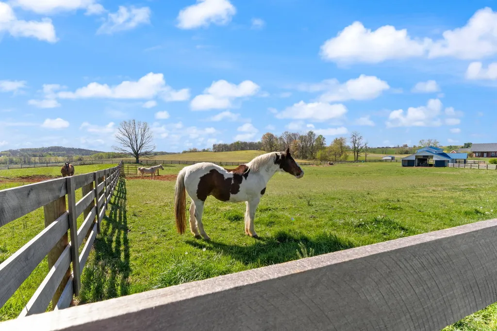 4211 Old Bull Road Eubank KY 42567